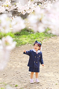 桜の木の下で桜を指差す男の子
