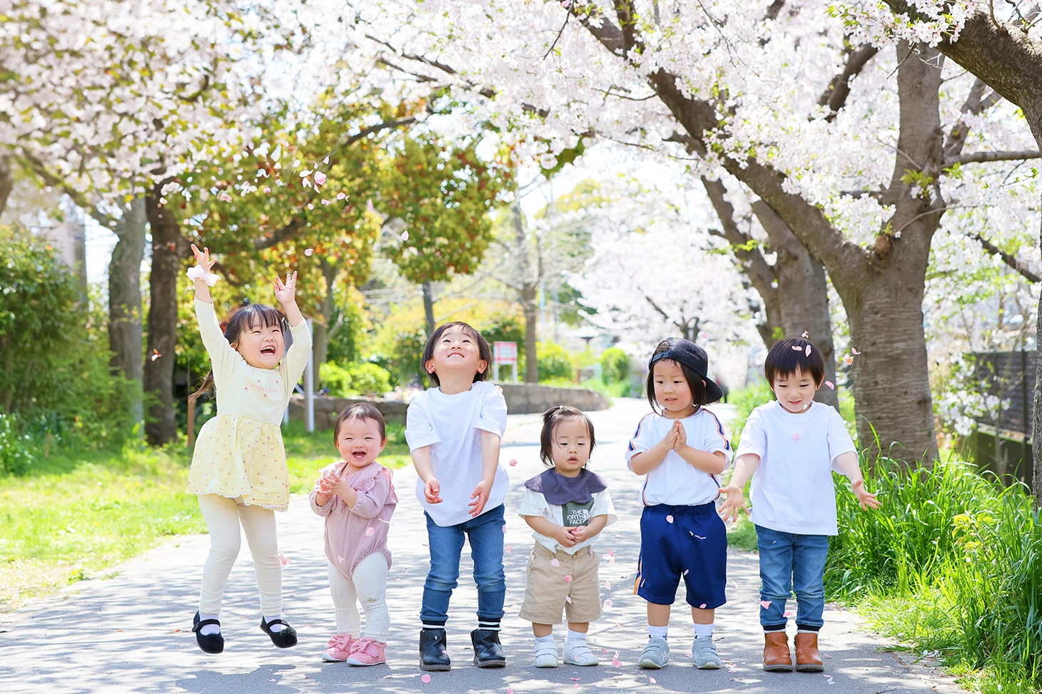 子供6人が桜の花びらと戯れる